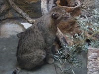 20100206 523.JPG